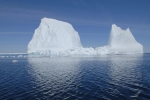 Icebergs et banquise 003 1664