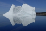Icebergs et banquise 004 1665