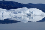 Icebergs et banquise 018 1679